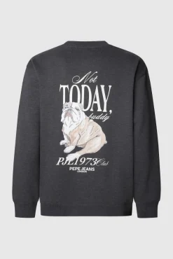 Pepe Jeans Sweatshirts-Sweatshirt Terry cinzento