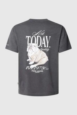 Pepe Jeans T-Shirts-T-shirt Terry cinzento